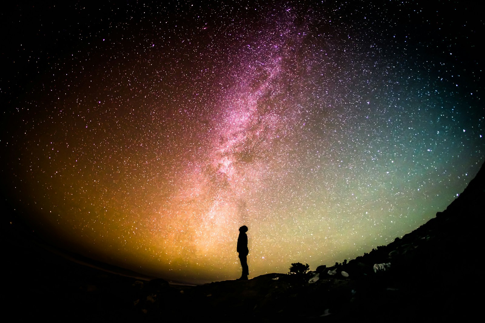 Starry night sky over the Adirondack forest